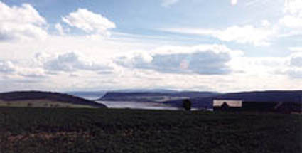 Across Tullich Field to Munlochy Bay, 20002